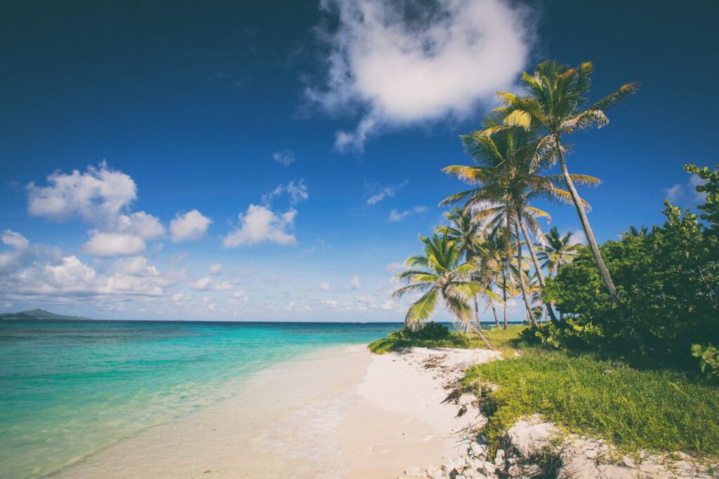 Weißer Sandstrand mit Palmen und türkisfarbenem Meer, Traumziel für Flitterwochen Karibik