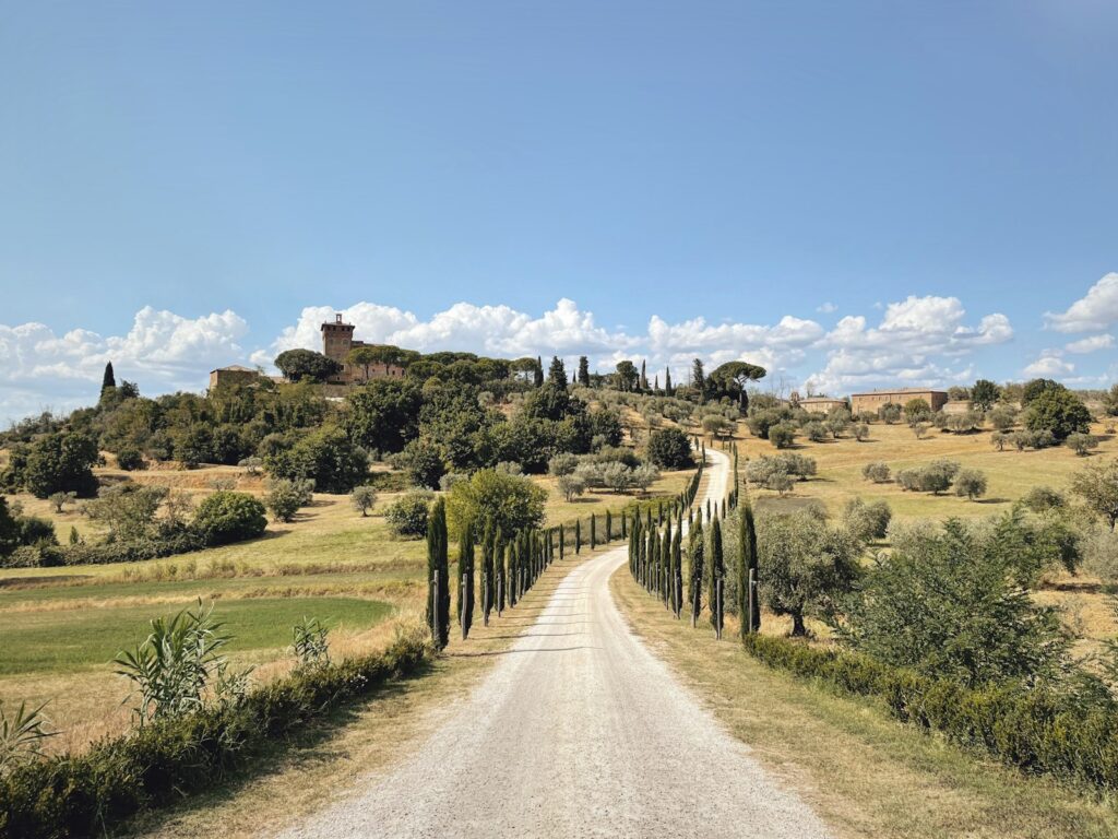 Zypressenallee in der Toskana, klassisches Ziel für Flitterwochen Italien
